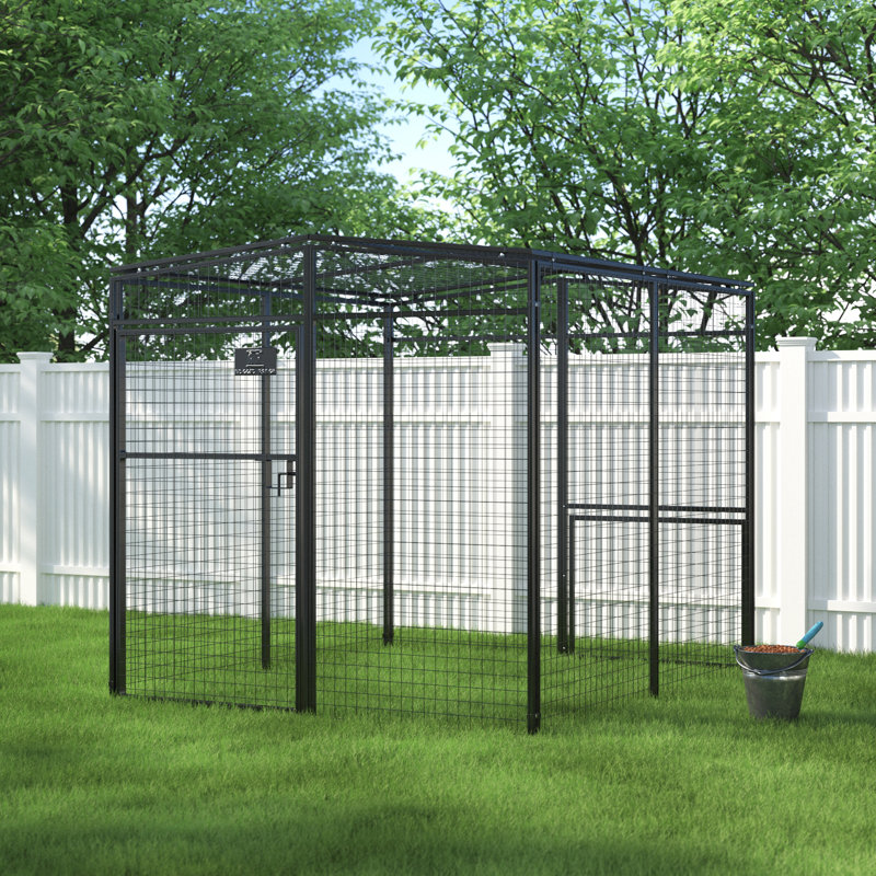 Archie & Oscar™ Epsilon Walk In Chicken Run For Up To 12 Chickens & Reviews Wayfair